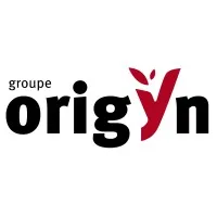 GROUPE ORIGYN (DDM) logo
