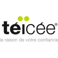 TEICEE (SIF) logo