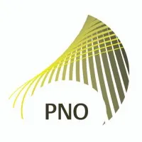 PNO CONSULTANTS (PNO CONSULTANTS) logo