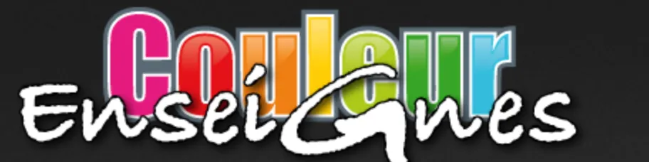 COULEUR ENSEIGNES logo