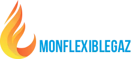 SOCIETE NOUVELLE EUROFLEX logo