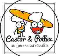 MIRPAIN (Castor & Pollux) logo