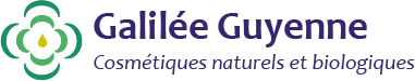 PERUCH VIOLAINE logo