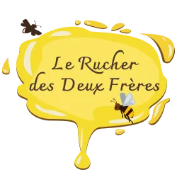 JULIEN DOMINIQUE logo