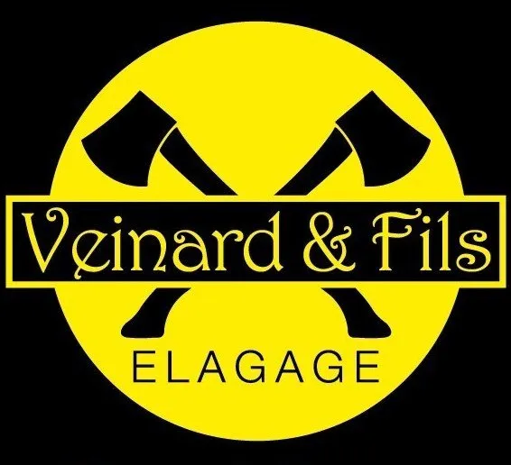 VEINARD JULIEN (VEINARD ET FILS) logo