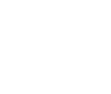 DOMLEODIA logo