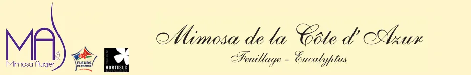 EARL MIMOSA AUGIER logo