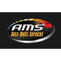 AUTO MULTI SERVICES (AMS) logo