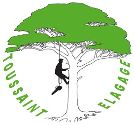 TOUSSAINT JERRY logo