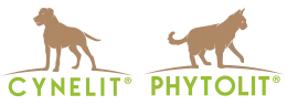 IN GYRUM PHUSYKA (IN GYRUM PHUSYKA) logo