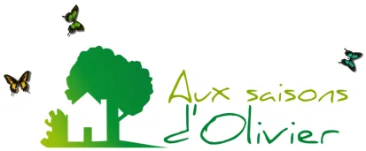 Voici le logo de la marque AUX SAISONS D'OLIVIER (ASDO) qui représente son identité graphique.