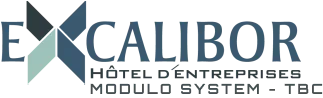 EURL EXCALIBOR (EXPANSION EN CENTRES D AFFAIRES ET LOCATION INDIVIDUELLE DE BUREAUX ORGANISES) logo