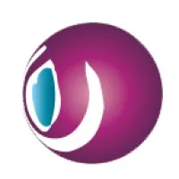 Voici le logo de la marque BRAIN LOGIC qui représente son identité graphique.
