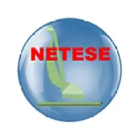 NETESE (N.S.I) logo