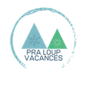 NEVESOL logo