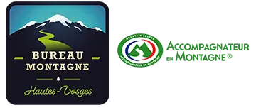 SCI BMHV logo