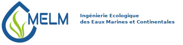 MINYVEL ENVIRONNEMENT LE MEDEC EN ABREGE MELM logo