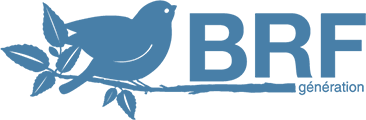 BRF GENERATION (BOISRAMEAL FRAGMENTE) logo