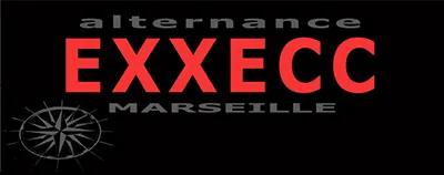 ALTERNANCE EXXECC logo