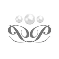 S FRANCE logo