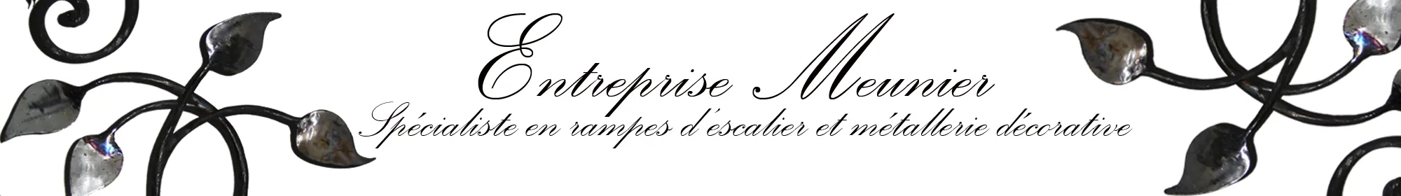 ETABLISSEMENTS DOMINIQUE MEUNIER logo