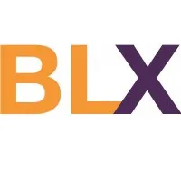 BLX EXPERTISES (BLX EXPERTISES) logo