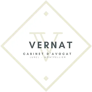 VERNAT VIRGINIE logo
