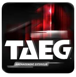 T A E G logo