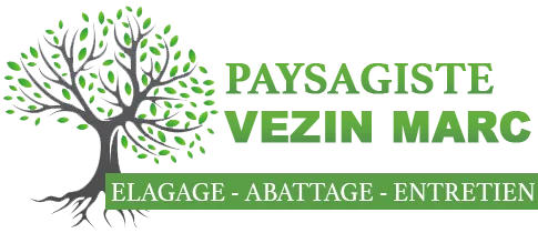 VEZIN MARC logo