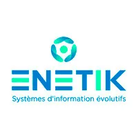 E NETIK logo