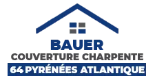 BAUER ALEXIS logo
