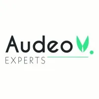 AUDEO EXPERTS logo