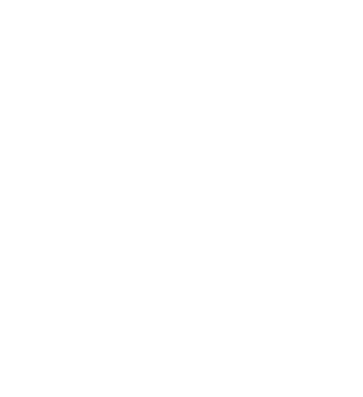CASH IMPACT logo