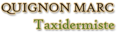 QUIGNON MARC logo