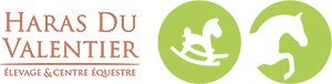ZERDOUN ROGER LOUIS logo