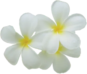 POIRIER CECILE logo