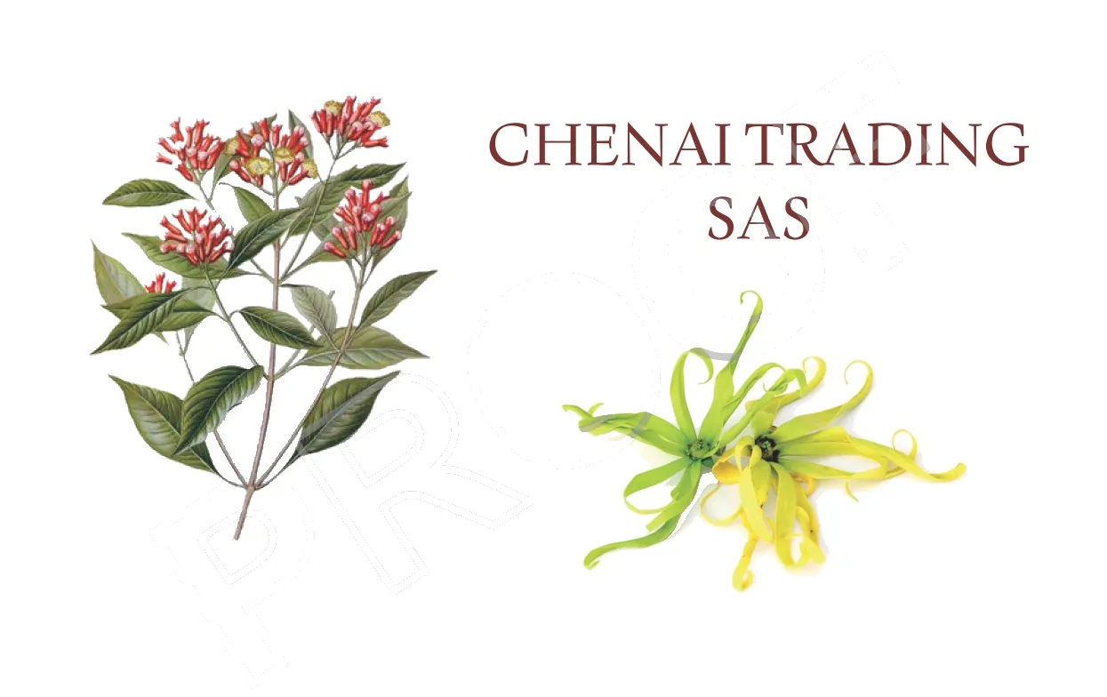 CHENAI TRADING logo