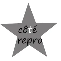 LESAULNIER PATRICIA (COTE REPRO) logo