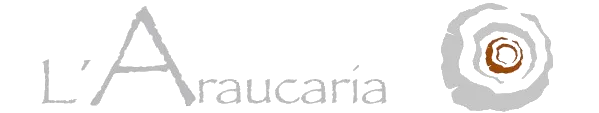 BOIS PETRIFIE (L'ARAUCARIA) logo