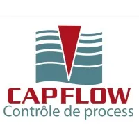 Voici le logo de la marque CAPFLOW SARL qui représente son identité graphique.