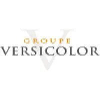 VERSICOLOR PARTNERS (VERSICOLOR PARTNERS) logo