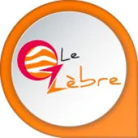 ZEBRE & CO (L.V.Z) logo
