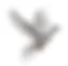 LA MAISON BLANCHE logo