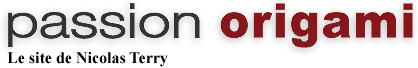 PASSION ORIGAMI logo