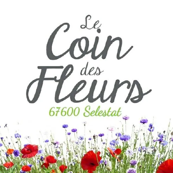 VEALINE logo