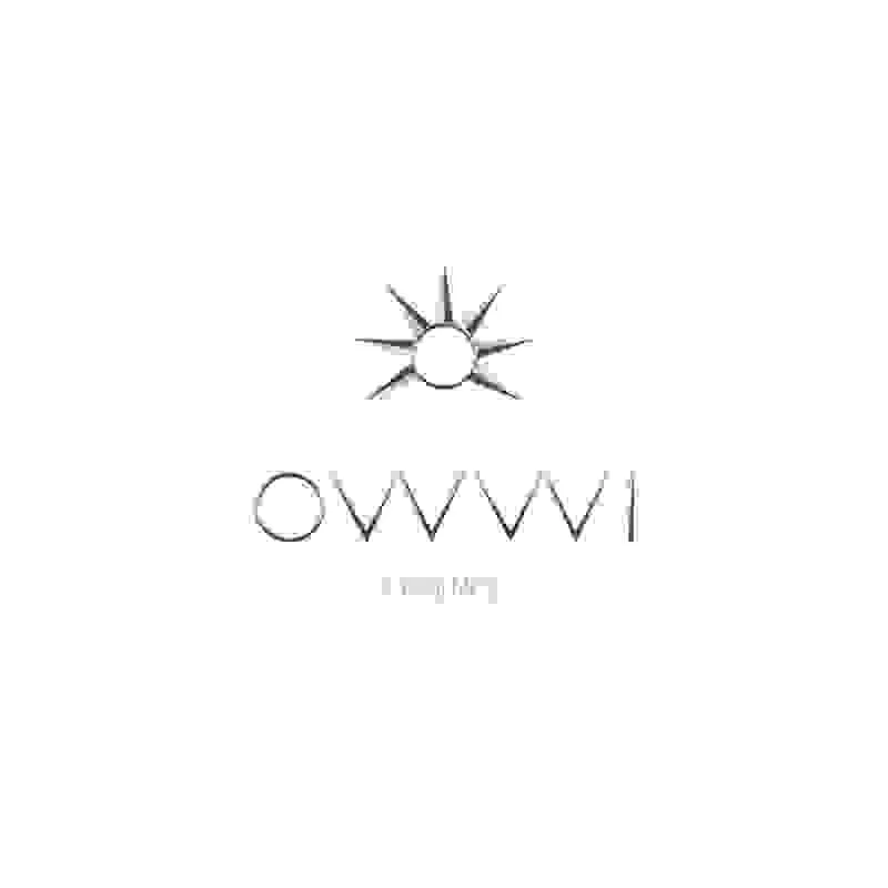 SARL OWWI logo