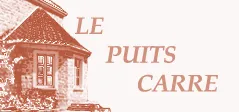 DOMAINE DU PUITS CARRE logo