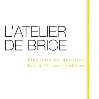 L'ATELIER DE BRICE logo