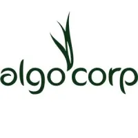 ALGOCORP (ALGOCORP) logo