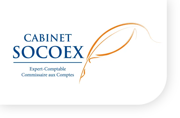 SOCIETE DE CONSEILS ET D'EXPERTISES (SOCOEX) logo